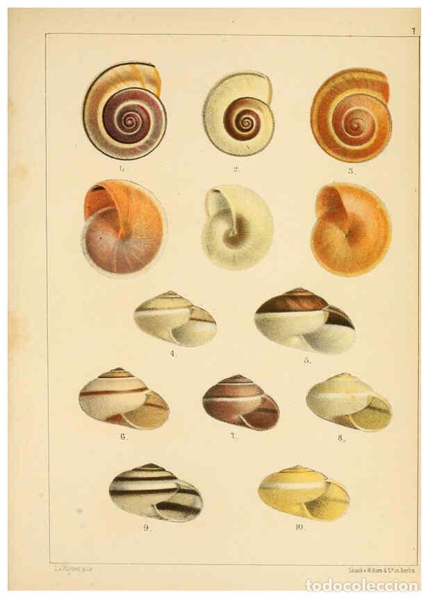 Collectionnisme de Revues et Journaux: Reproducci&oacute;n/Reproduction 6286153458: Die Preussische expedition nach Ost-Asien. Bd.2. Berlin :K&ouml;nig