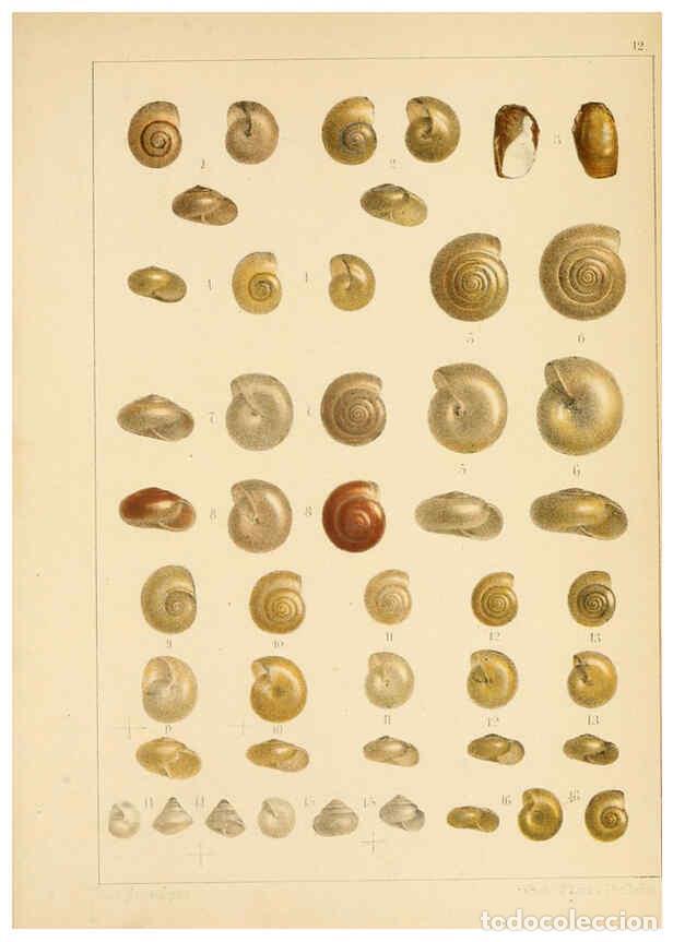 Collectionnisme de Revues et Journaux: Reproducci&oacute;n/Reproduction 6286154232: Die Preussische expedition nach Ost-Asien. Bd.2. Berlin :K&ouml;nig