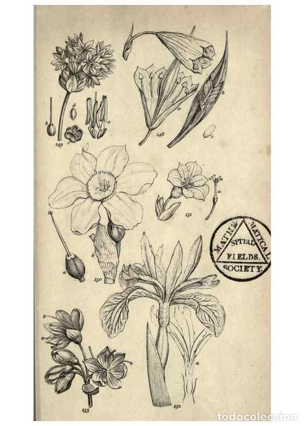 Collectionnisme de Revues et Journaux: Reproducci&oacute;n/Reproduction 8448494098: A grammar of botany,. London,Longman,1821. - Smith, James Edwa
