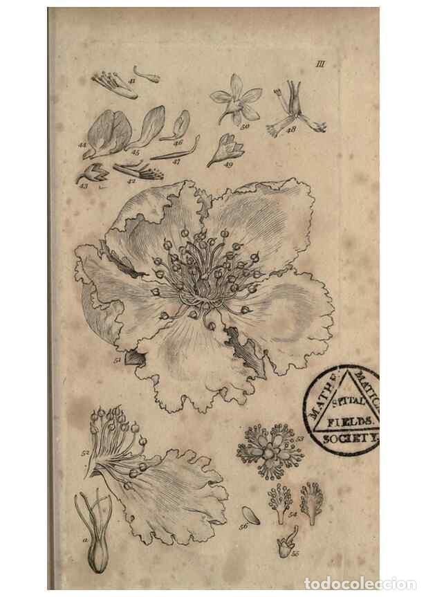 Sammeln von Zeitschriften und Zeitungen: Reproducci&oacute;n/Reproduction 8447399677: A grammar of botany,. London,Longman,1821. - Smith, James Edwa