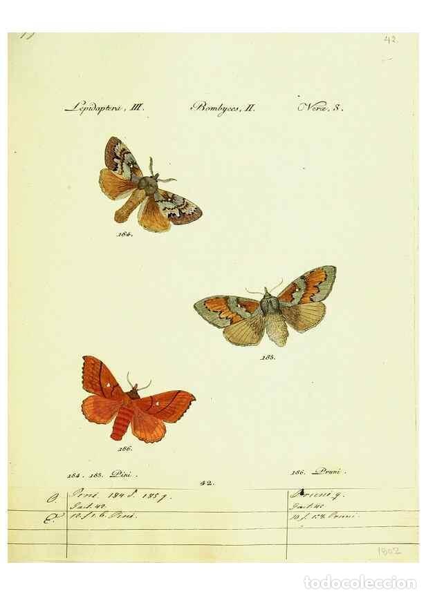 Sammeln von Zeitschriften und Zeitungen: Reproducci&oacute;n/Reproduction 9099373383: H&uuml;bner's papilio. S.l. :s.n.,1796-1841 - H&uuml;bner, Jacob,