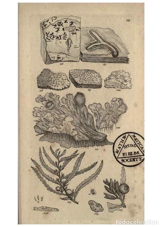 Sammeln von Zeitschriften und Zeitungen: Reproducci&oacute;n/Reproduction 8447402427: A grammar of botany,. London,Longman,1821. - Smith, James Edwa