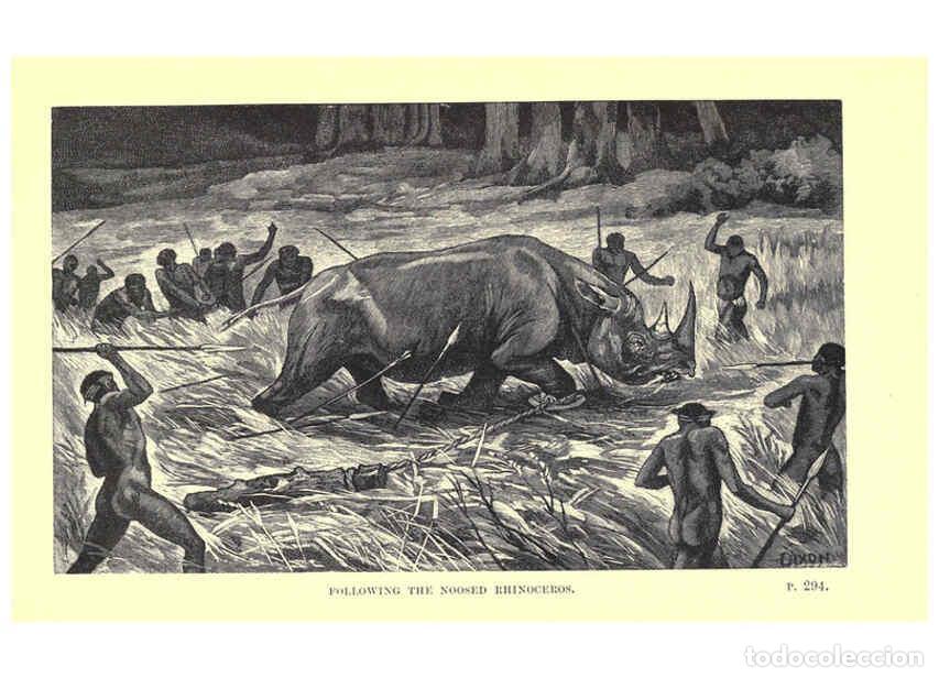 Collectionnisme de Revues et Journaux: Reproducci&oacute;n/Reproduction 6505688733: Wild beasts and their ways London,Macmillan and co.,1890 - Sam