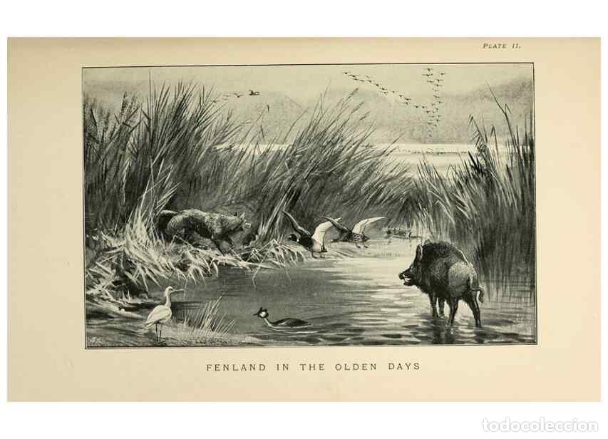 Collectionnisme de Revues et Journaux: Reproducci&oacute;n/Reproduction 6949909926: Lost and vanishing birds;. London,J. Macqueen,1898. - Dixon, C