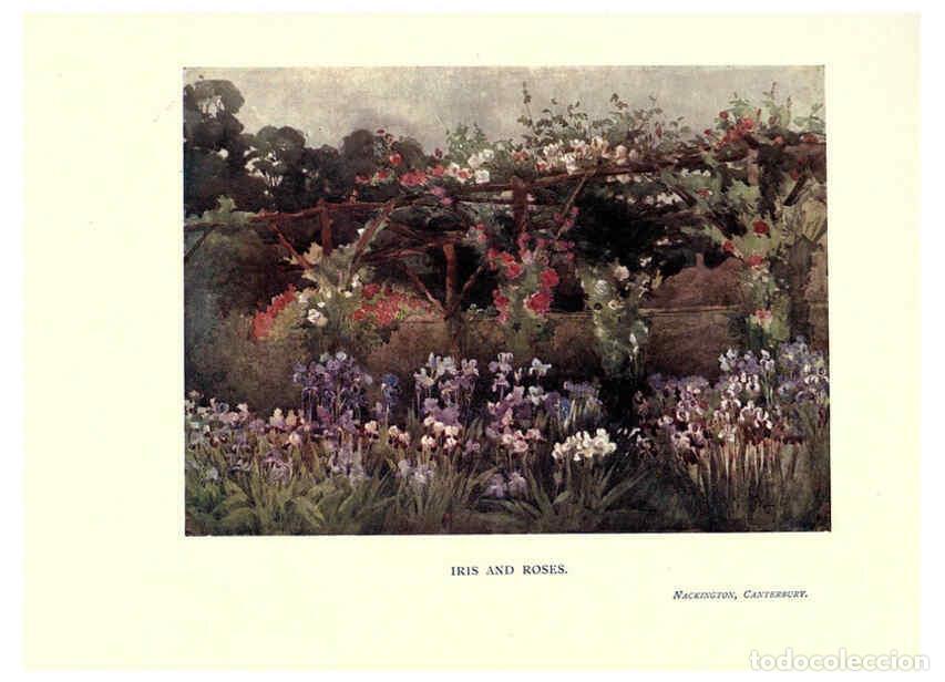 Sammeln von Zeitschriften und Zeitungen: Reproducci&oacute;n/Reproduction 6285790227: Garden colour London,E. P. Dutton & company,1905 - Margaret H.