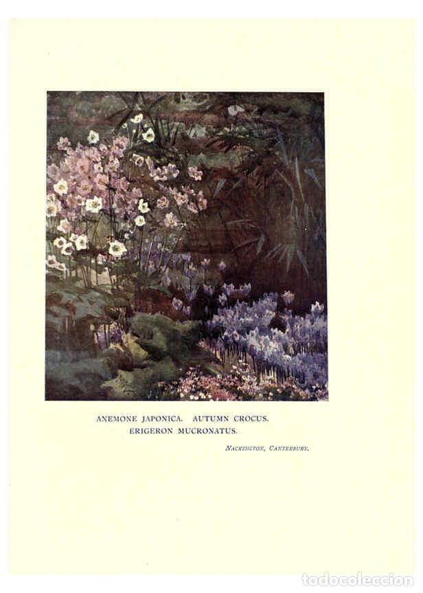 Sammeln von Zeitschriften und Zeitungen: Reproducci&oacute;n/Reproduction 6286317014: Garden colour London,E. P. Dutton & company,1905 - Margaret H.