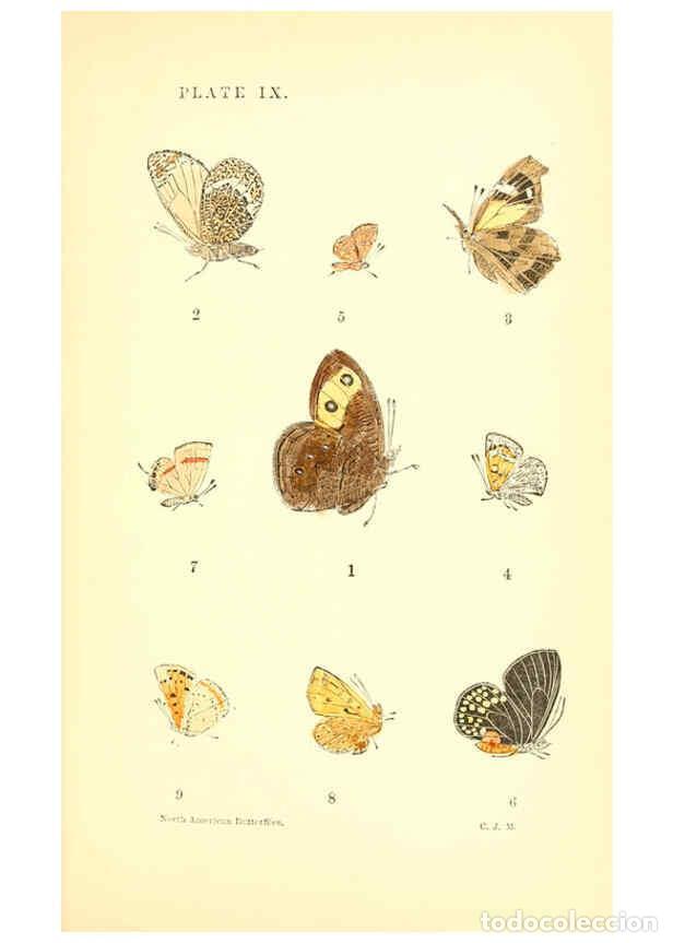 Sammeln von Zeitschriften und Zeitungen: Reproducci&oacute;n/Reproduction 6286384978: A manual of North American butterflies Boston :De Wolfe, Fiske