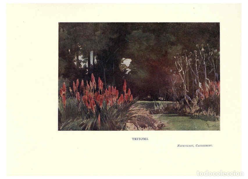 Sammeln von Zeitschriften und Zeitungen: Reproducci&oacute;n/Reproduction 6285794693: Garden colour London,E. P. Dutton & company,1905 - Margaret H.