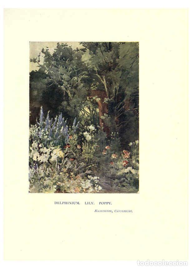 Sammeln von Zeitschriften und Zeitungen: Reproducci&oacute;n/Reproduction 6285791661: Garden colour London,E. P. Dutton & company,1905 - Margaret H.