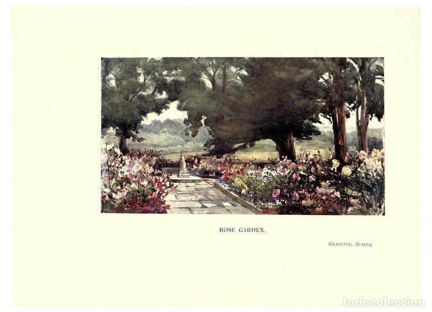 Sammeln von Zeitschriften und Zeitungen: Reproducci&oacute;n/Reproduction 6286313750: Garden colour London,E. P. Dutton & company,1905 - Margaret H.
