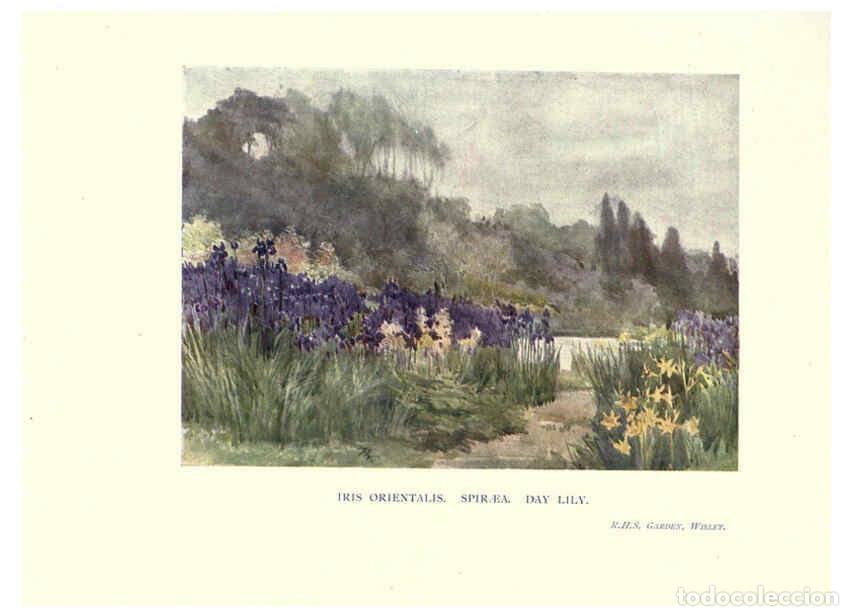 Sammeln von Zeitschriften und Zeitungen: Reproducci&oacute;n/Reproduction 6285790533: Garden colour London,E. P. Dutton & company,1905 - Margaret H.