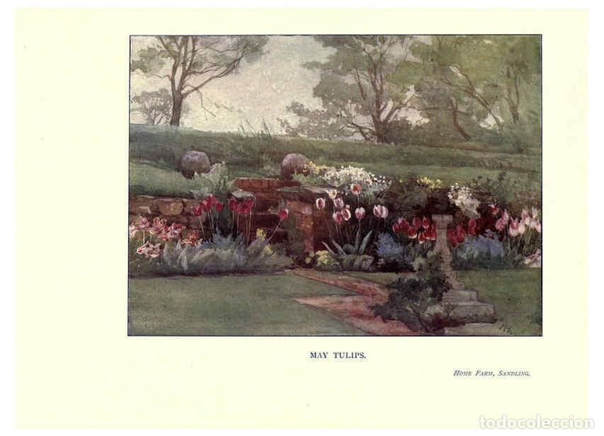 Sammeln von Zeitschriften und Zeitungen: Reproducci&oacute;n/Reproduction 6285788887: Garden colour London,E. P. Dutton & company,1905 - Margaret H.