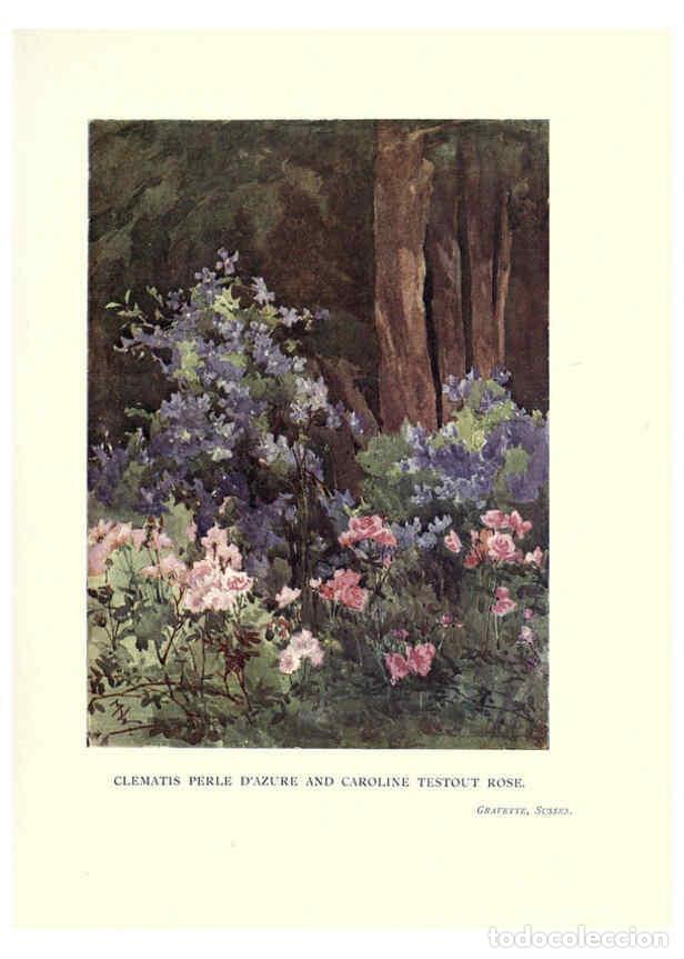 Sammeln von Zeitschriften und Zeitungen: Reproducci&oacute;n/Reproduction 6286314974: Garden colour London,E. P. Dutton & company,1905 - Margaret H.