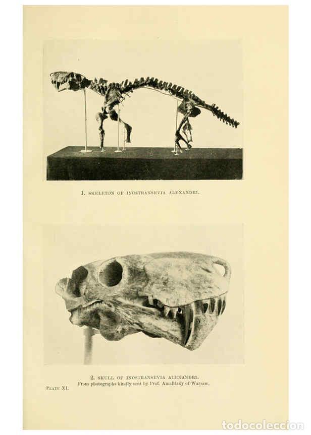 Collectionnisme de Revues et Journaux: Reproducci&oacute;n/Reproduction 6288294463: Extinct monsters and creatures of other days London :Chapman &