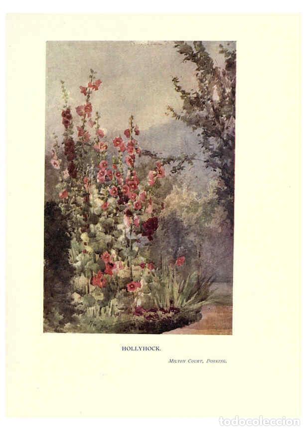 Collectionnisme de Revues et Journaux: Reproducci&oacute;n/Reproduction 6286315522: Garden colour London,E. P. Dutton & company,1905 - Margaret H.
