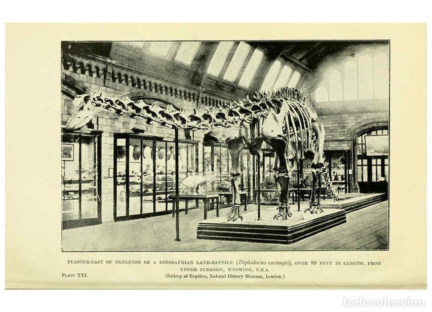 Collectionnisme de Revues et Journaux: Reproducci&oacute;n/Reproduction 6288296041: Extinct monsters and creatures of other days London :Chapman &