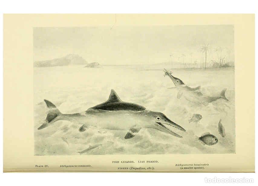 Collectionnisme de Revues et Journaux: Reproducci&oacute;n/Reproduction 6288293285: Extinct monsters and creatures of other days London :Chapman &