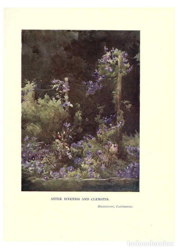 Collectionnisme de Revues et Journaux: Reproducci&oacute;n/Reproduction 6285795591: Garden colour London,E. P. Dutton & company,1905 - Margaret H.