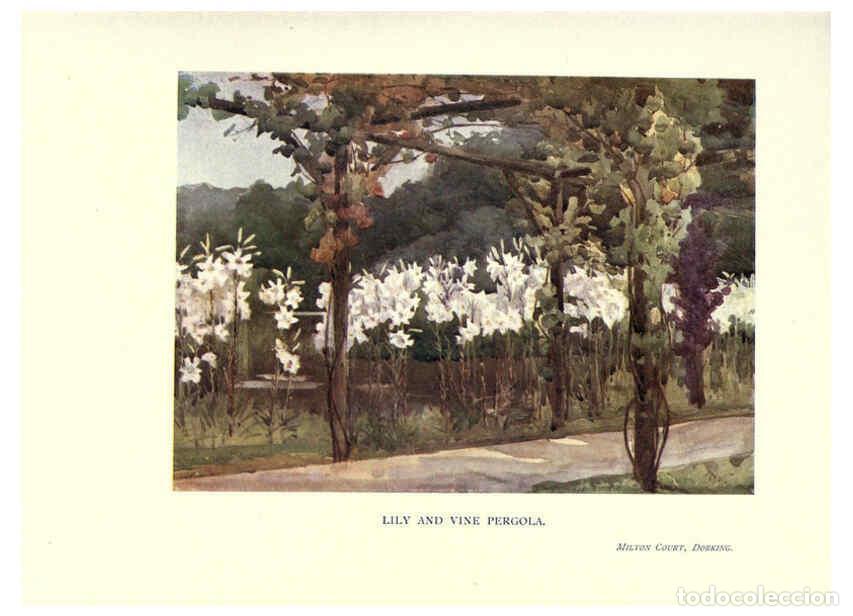Collectionnisme de Revues et Journaux: Reproducci&oacute;n/Reproduction 6286314184: Garden colour London,E. P. Dutton & company,1905 - Margaret H.