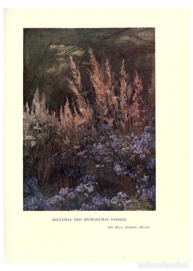 Collectionnisme de Revues et Journaux: Reproducci&oacute;n/Reproduction 6285796541: Garden colour London,E. P. Dutton & company,1905 - Margaret H.