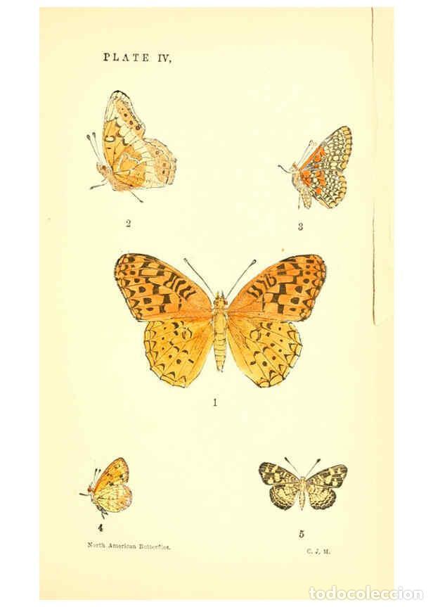 Collectionnisme de Revues et Journaux: Reproducci&oacute;n/Reproduction 6285863031: A manual of North American butterflies Boston :De Wolfe, Fiske