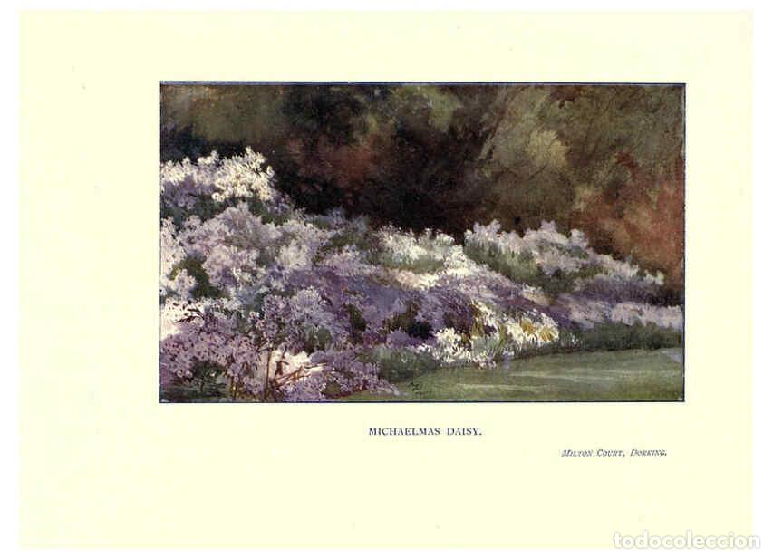 Collectionnisme de Revues et Journaux: Reproducci&oacute;n/Reproduction 6286316332: Garden colour London,E. P. Dutton & company,1905 - Margaret H.