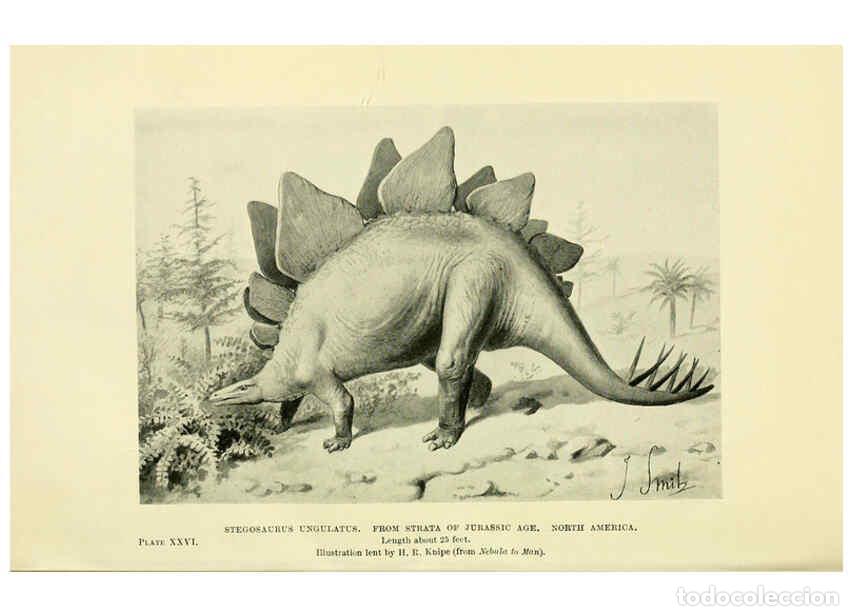 Collectionnisme de Revues et Journaux: Reproducci&oacute;n/Reproduction 6288817264: Extinct monsters and creatures of other days London :Chapman &