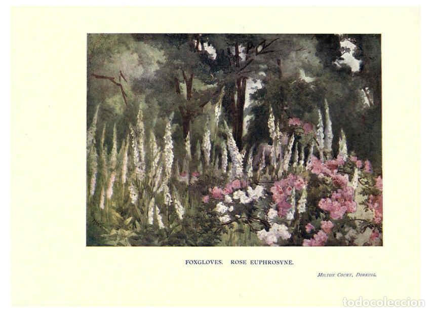 Collectionnisme de Revues et Journaux: Reproducci&oacute;n/Reproduction 6286313554: Garden colour London,E. P. Dutton & company,1905 - Margaret H.