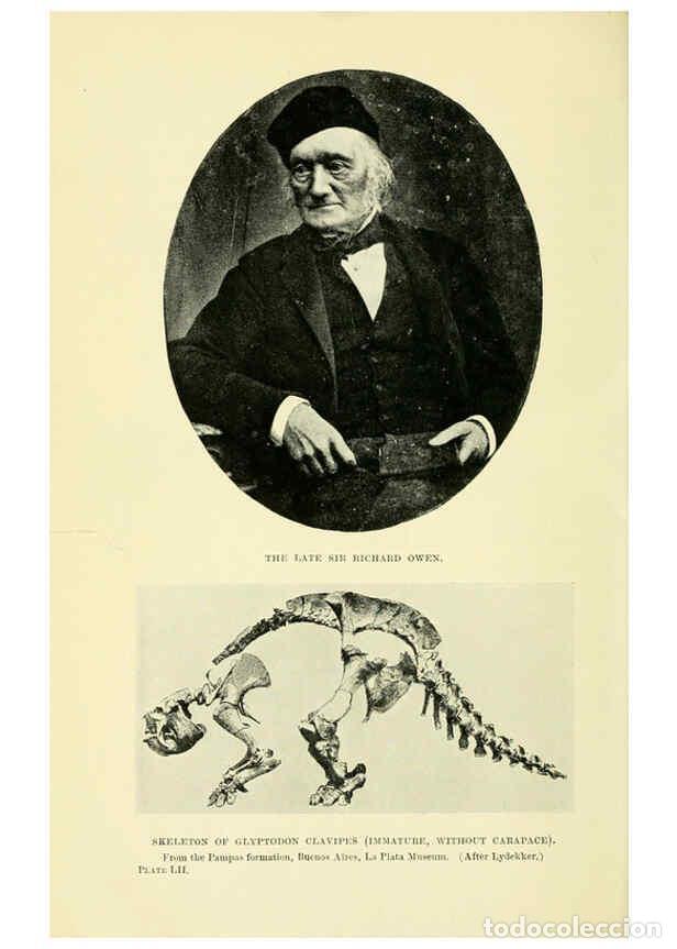 Collectionnisme de Revues et Journaux: Reproducci&oacute;n/Reproduction 6288821830: Extinct monsters and creatures of other days London :Chapman &