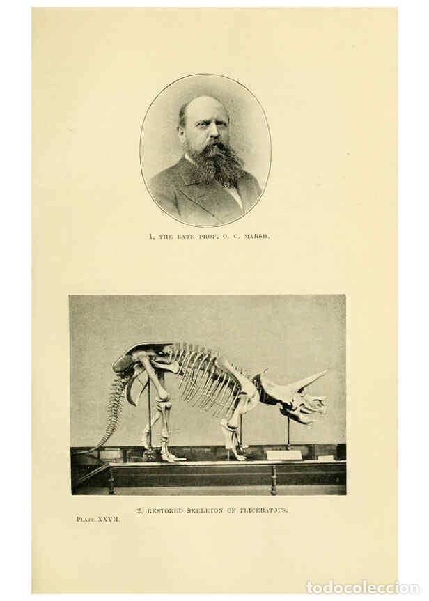 Collectionnisme de Revues et Journaux: Reproducci&oacute;n/Reproduction 6288297205: Extinct monsters and creatures of other days London :Chapman &