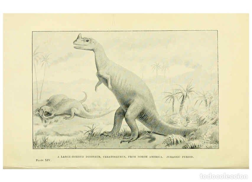 Collectionnisme de Revues et Journaux: Reproducci&oacute;n/Reproduction 6288294957: Extinct monsters and creatures of other days London :Chapman &