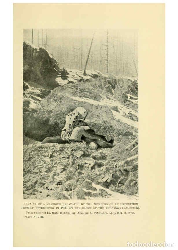 Collectionnisme de Revues et Journaux: Reproducci&oacute;n/Reproduction 6288821164: Extinct monsters and creatures of other days London :Chapman &