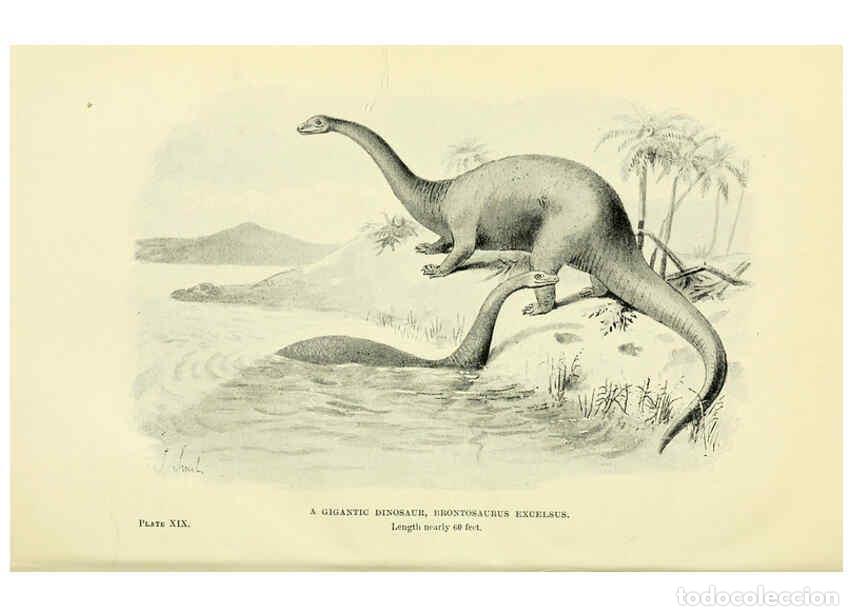 Collectionnisme de Revues et Journaux: Reproducci&oacute;n/Reproduction 6288815982: Extinct monsters and creatures of other days London :Chapman &