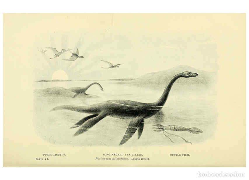 Collectionnisme de Revues et Journaux: Reproducci&oacute;n/Reproduction 6288293639: Extinct monsters and creatures of other days London :Chapman &