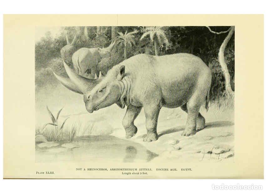 Collectionnisme de Revues et Journaux: Reproducci&oacute;n/Reproduction 6288820396: Extinct monsters and creatures of other days London :Chapman &