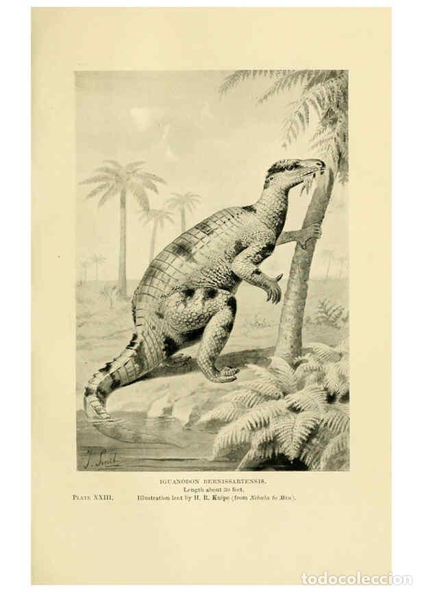 Collectionnisme de Revues et Journaux: Reproducci&oacute;n/Reproduction 6288296467: Extinct monsters and creatures of other days London :Chapman &