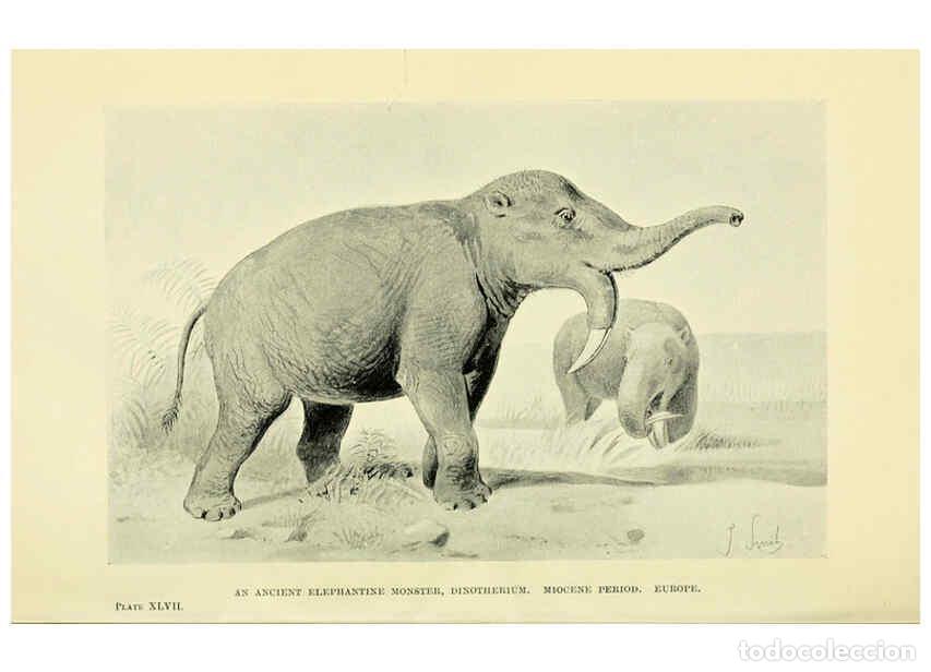 Collectionnisme de Revues et Journaux: Reproducci&oacute;n/Reproduction 6288300611: Extinct monsters and creatures of other days London :Chapman &