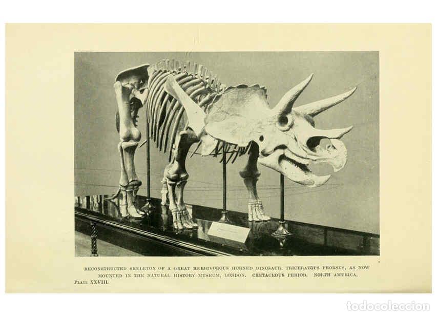 Collectionnisme de Revues et Journaux: Reproducci&oacute;n/Reproduction 6288297455: Extinct monsters and creatures of other days London :Chapman &