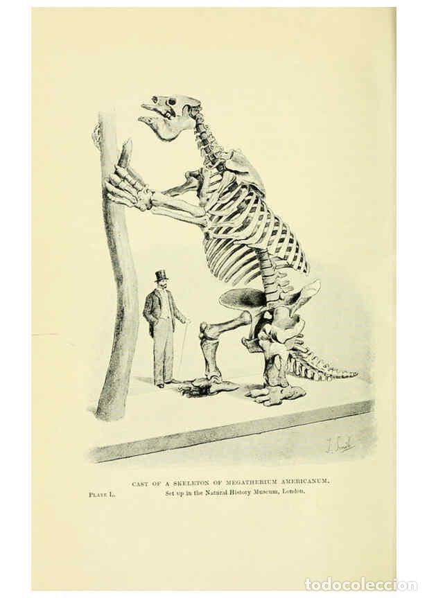 Collectionnisme de Revues et Journaux: Reproducci&oacute;n/Reproduction 6288301125: Extinct monsters and creatures of other days London :Chapman &