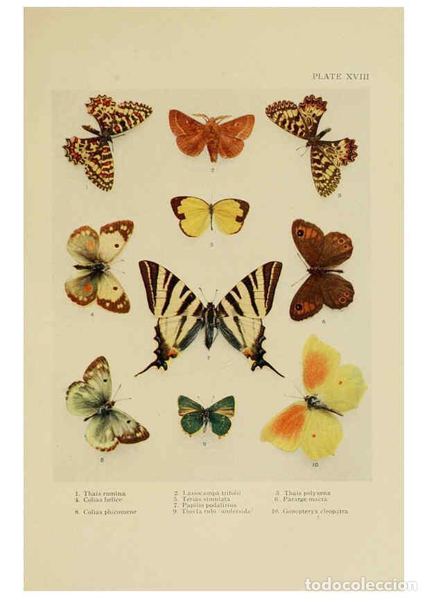Collectionnisme de Revues et Journaux: Reproducci&oacute;n/Reproduction 6288238591: Insect life London,A. & C. Black, ltd.,1921 - Charles Aubrey E