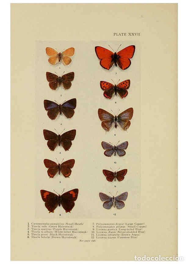 Collectionnisme de Revues et Journaux: Reproducci&oacute;n/Reproduction 6288240023: Insect life London,A. & C. Black, ltd.,1921 - Charles Aubrey E