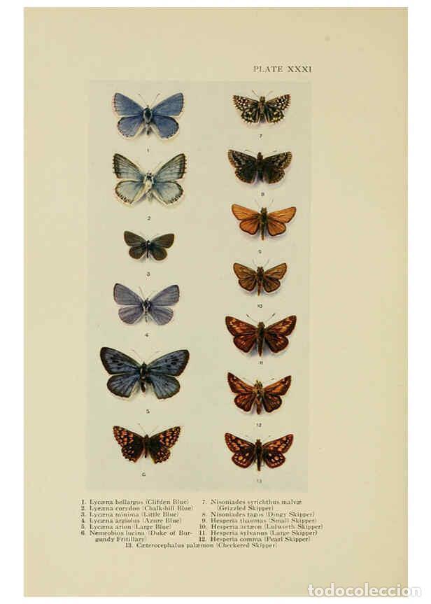 Collectionnisme de Revues et Journaux: Reproducci&oacute;n/Reproduction 6288240661: Insect life London,A. & C. Black, ltd.,1921 - Charles Aubrey E