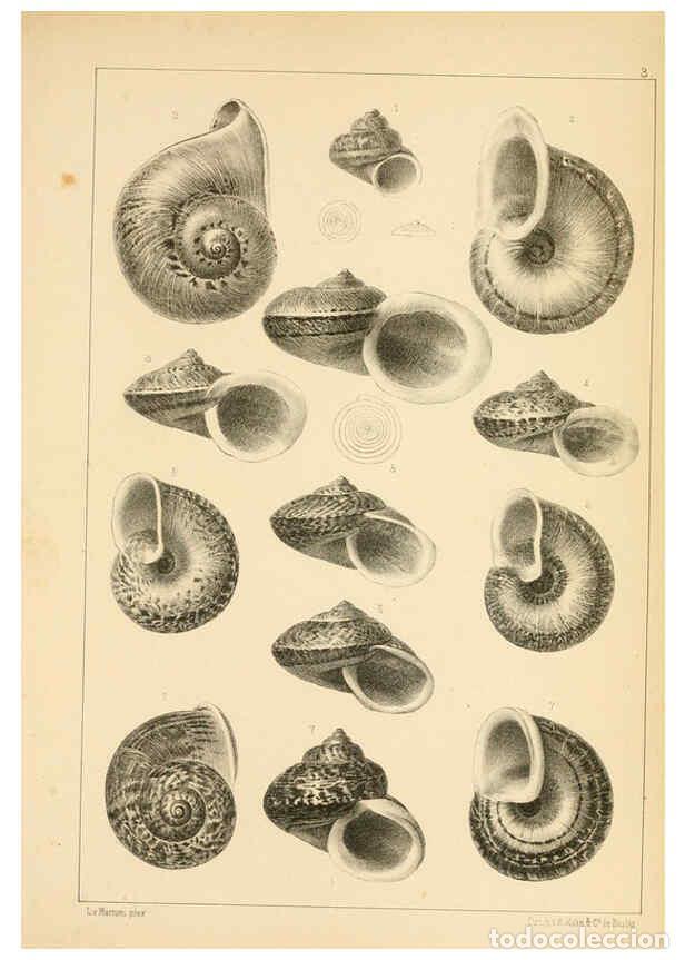 Sammeln von Zeitschriften und Zeitungen: Reproducci&oacute;n/Reproduction 6285631637: Die Preussische expedition nach Ost-Asien. Bd.2. Berlin :K&ouml;nig