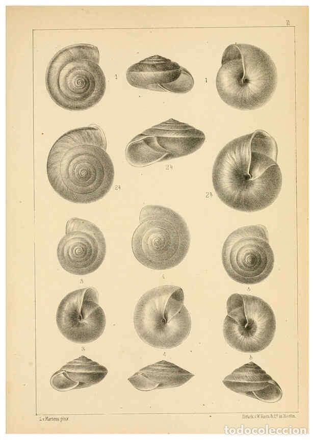 Sammeln von Zeitschriften und Zeitungen: Reproducci&oacute;n/Reproduction 6286154110: Die Preussische expedition nach Ost-Asien. Bd.2. Berlin :K&ouml;nig