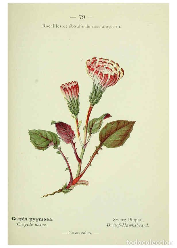 Sammeln von Zeitschriften und Zeitungen: Reproducci&oacute;n/Reproduction 6298284405: Nouvelle flore colori&eacute;e de poche des Alpes et des Pyr&eacute;n&eacute;es. v.