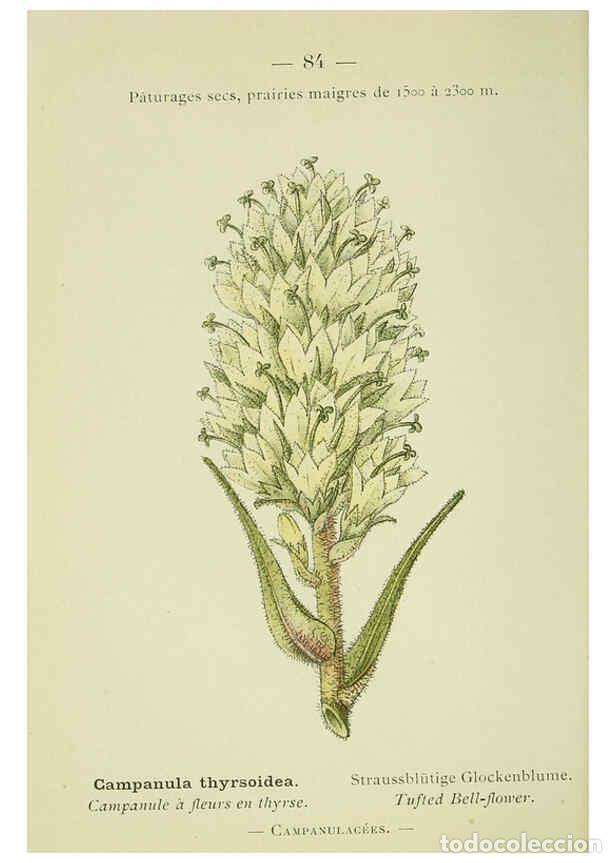 Sammeln von Zeitschriften und Zeitungen: Reproducci&oacute;n/Reproduction 6298817106: Nouvelle flore colori&eacute;e de poche des Alpes et des Pyr&eacute;n&eacute;es. v.