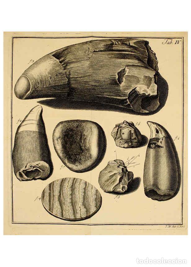Coleccionismo de Revistas y Peri&oacute;dicos: Reproducci&oacute;n/Reproduction 6263247385: Iacobi Theodori Klein Histori&aelig; piscium naturalis Gedani [i.e.