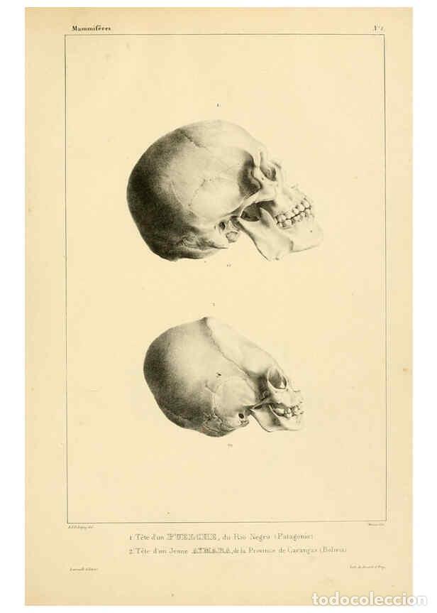 Sammeln von Zeitschriften und Zeitungen: Reproducci&oacute;n/Reproduction 6302645215: Voyage dans l'Am&eacute;rique M&eacute;ridionale. v.9. Paris :Pitois-Levraul