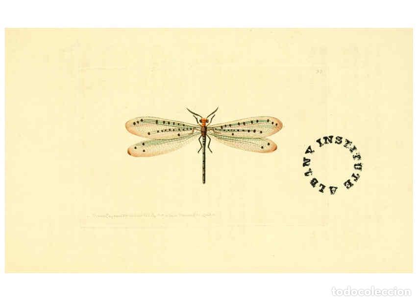 Coleccionismo de Revistas y Peri&oacute;dicos: Reproducci&oacute;n/Reproduction 6127024287: The zoological miscellany. v.1. London :Printed by B. McMillan