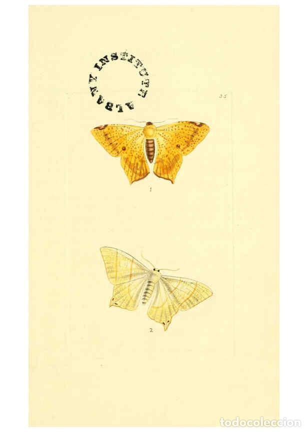 Coleccionismo de Revistas y Peri&oacute;dicos: Reproducci&oacute;n/Reproduction 6127025539: The zoological miscellany. v.1. London :Printed by B. McMillan